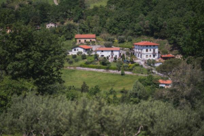 Отель Agriturismo La Valle degli Ulivi  Треккина